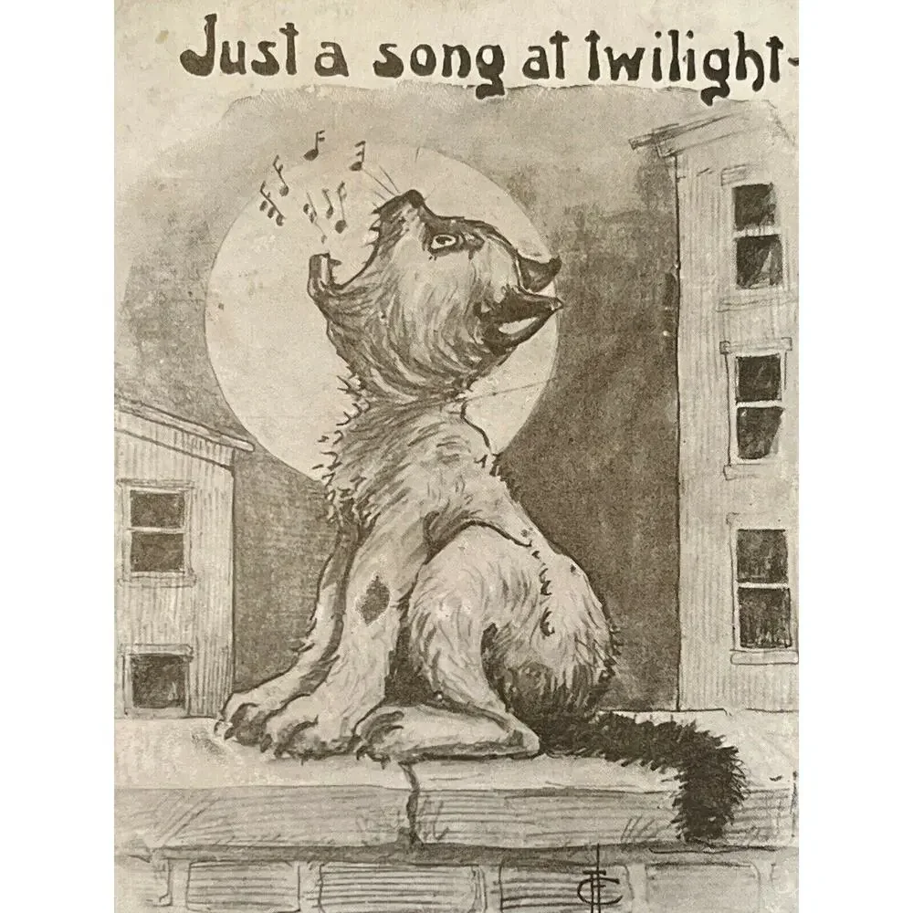 Antique 1911 Postcard Howling Cat On Wall I. Phillips Artist Humor Whimsical GUC